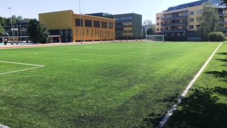 Raatuse kooli jalgpalliväljak Premier 50mm