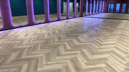 MyFitness Viru kalasaba LVT